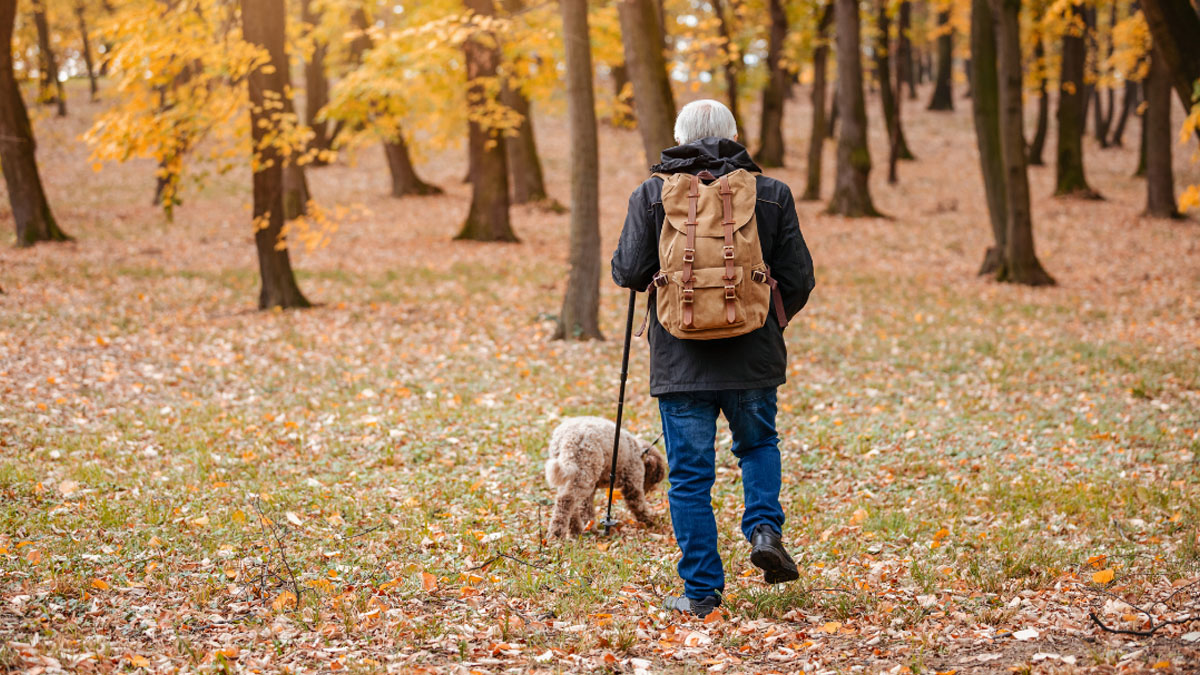 THE SEARCH FOR TRUFFLES